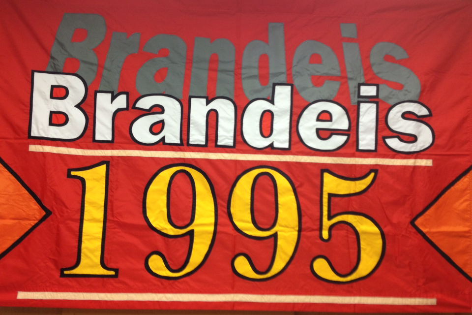1995 flag