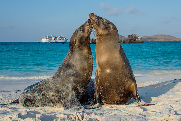 Galapagos Islands Cruise 