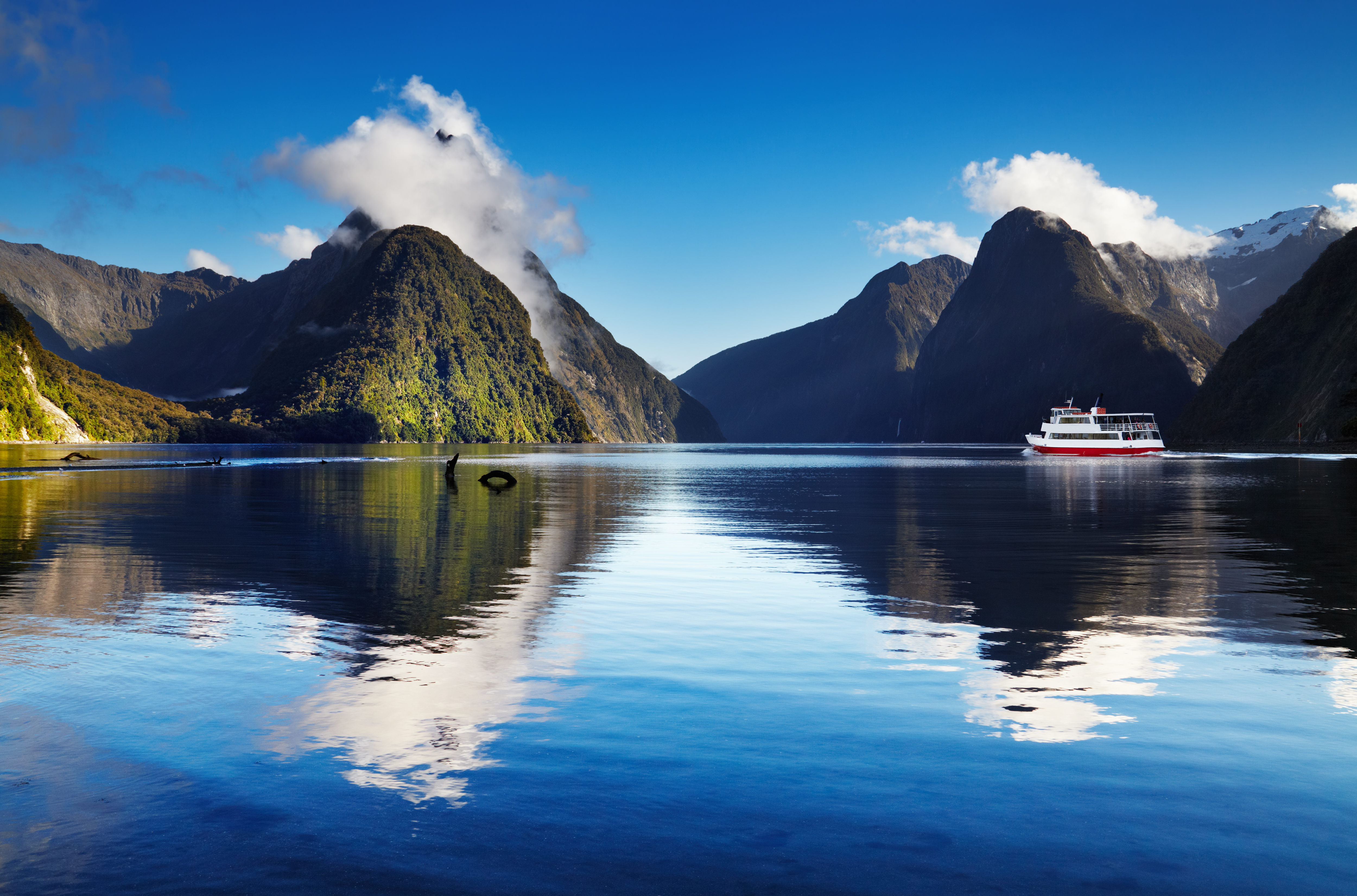 New Zealand Cruise