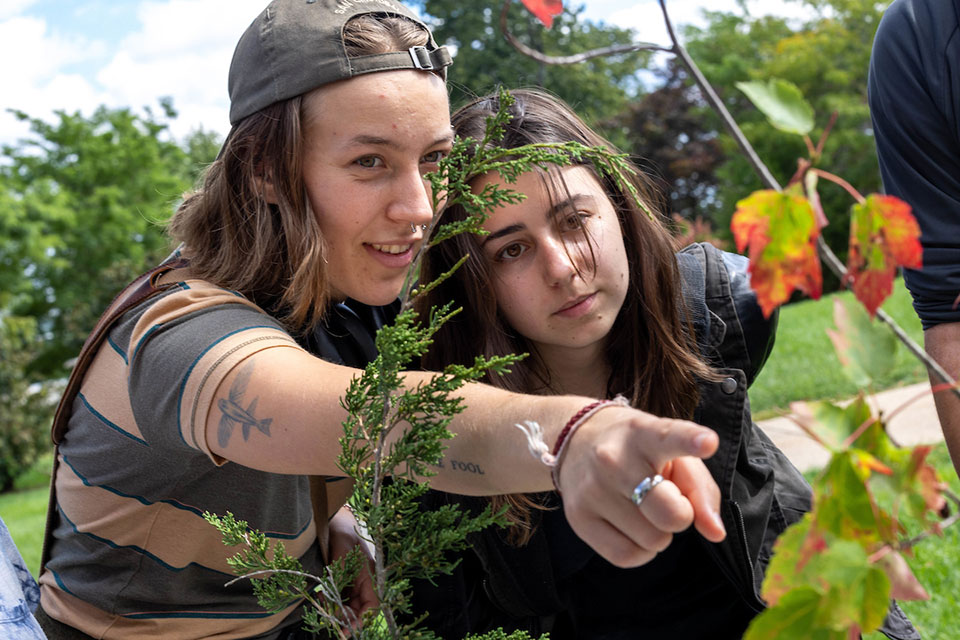 Two female students looking at a caterpillar on a branch.