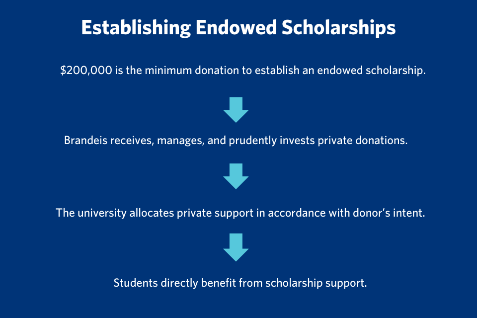 Establishing an Endowed Scholarship