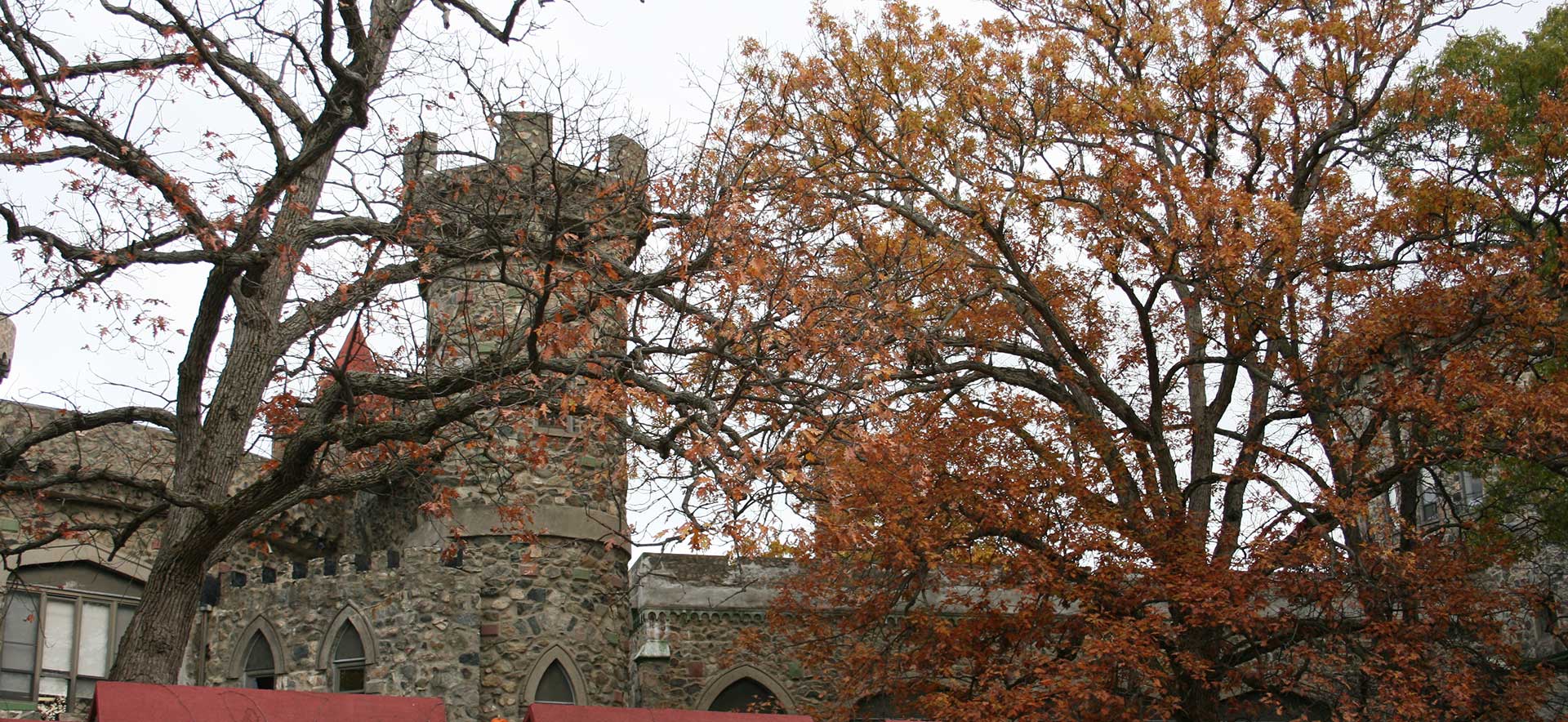 The Castle