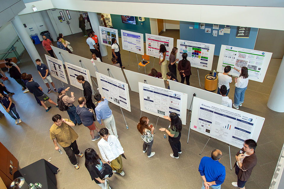 A group of people examine poster boards.