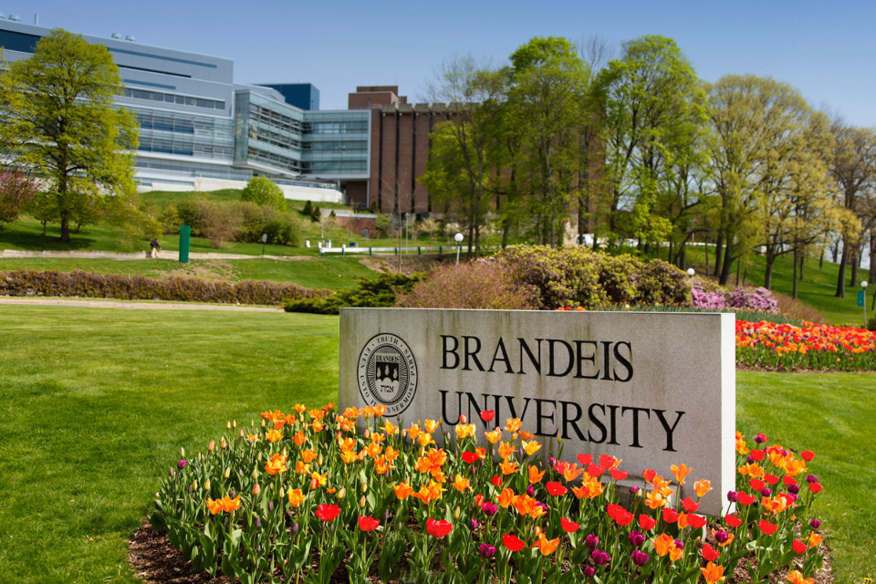 Stone Brandeis University sign, with colorful tulips in the foreground, and campus in the background