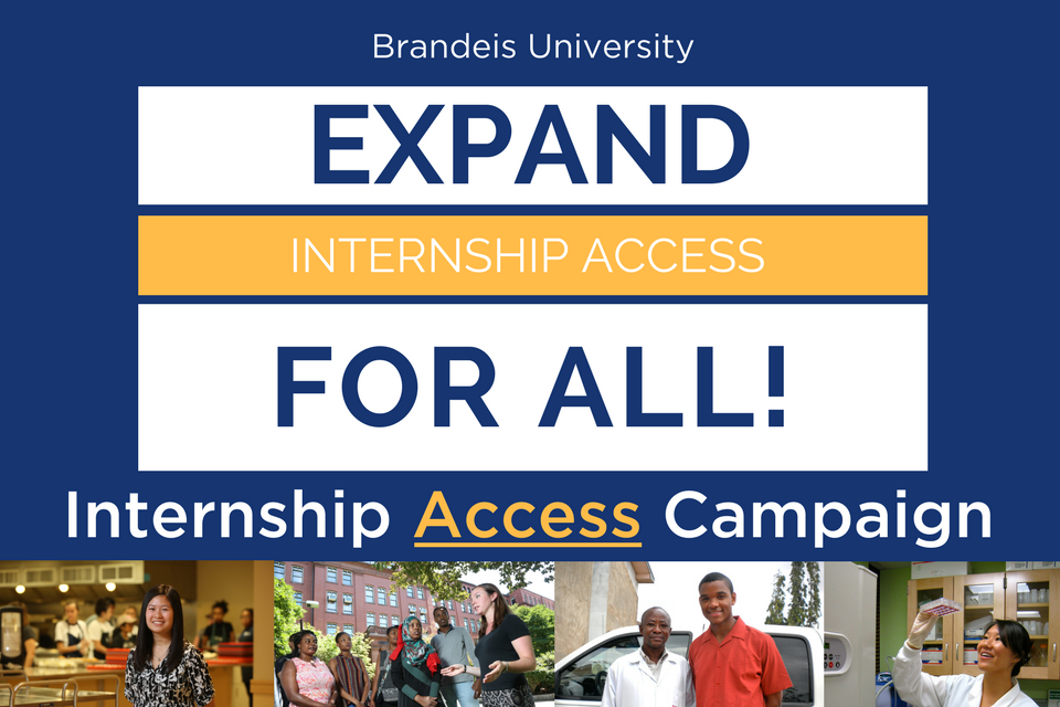 A banner that reads "Brandeis University: Expand internship access to all! Internship access campaign."