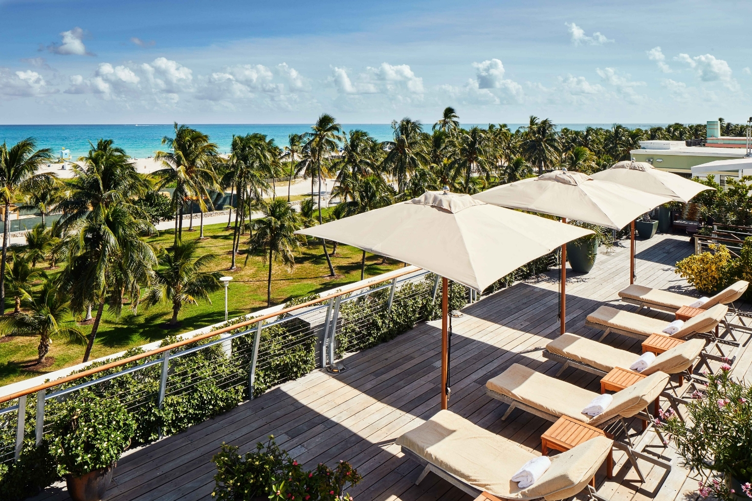 Lounge chairs and umbrellas overlooking the ocean