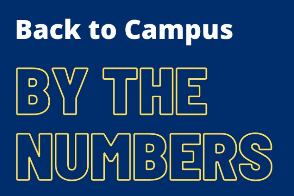 White and yellow text on a blue background that says "Back to campus by the numbers"
