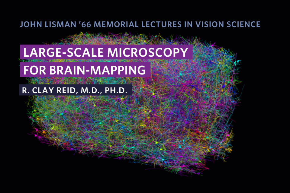 John Lisman ’66 Memorial Lectures in Vision Science, Large-scale microscopy for brain-mapping, R. Clay Reid, M.D., Ph.D.