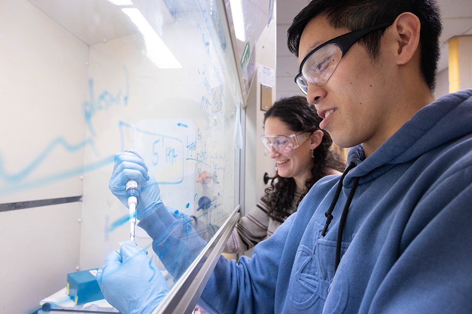 Students working in a lab