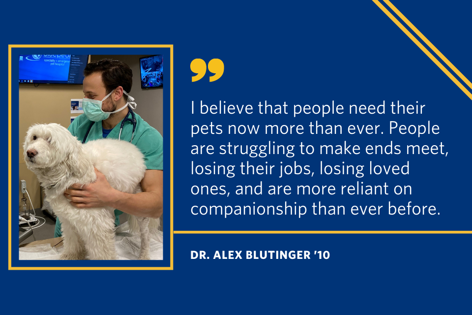 A quote from Alex Blutinger that says "I believe that people need their pets now more than ever. People are struggling to make ends meet, losing their jobs, losing loved ones, and are more reliant on companionship than ever before."